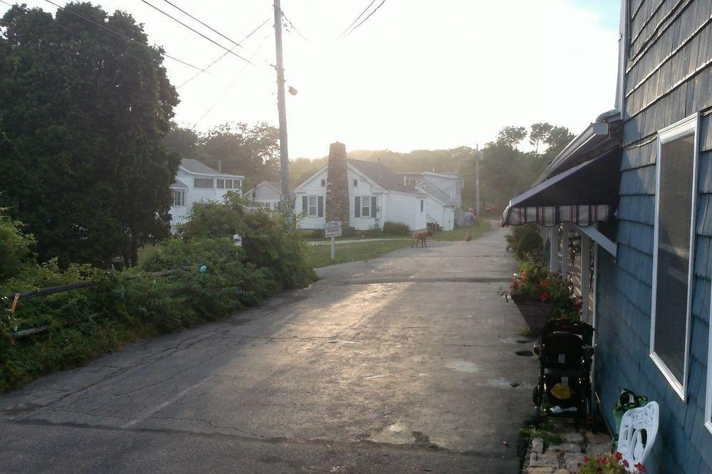 Motel Sea Turn York